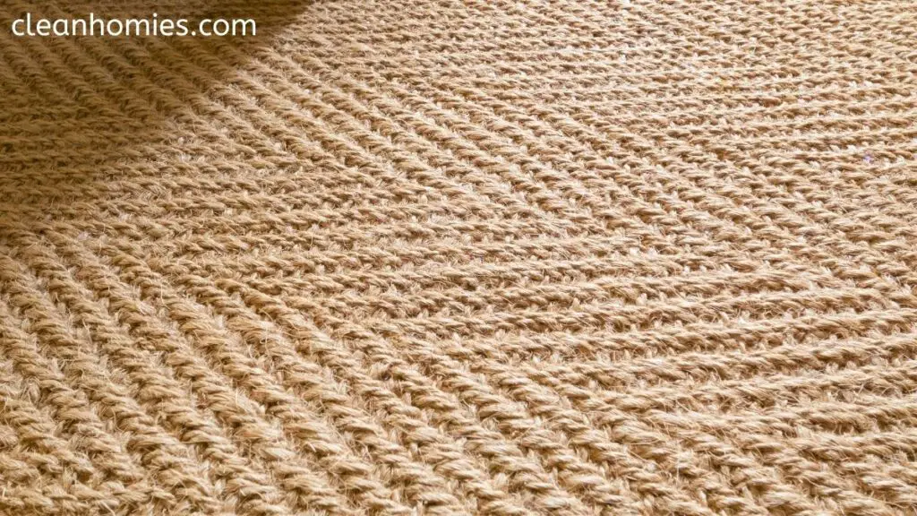 Natural Fiber Carpet