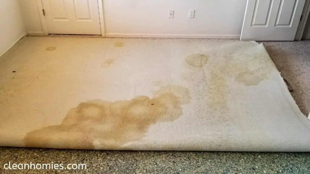 Oil Spills in carpet 