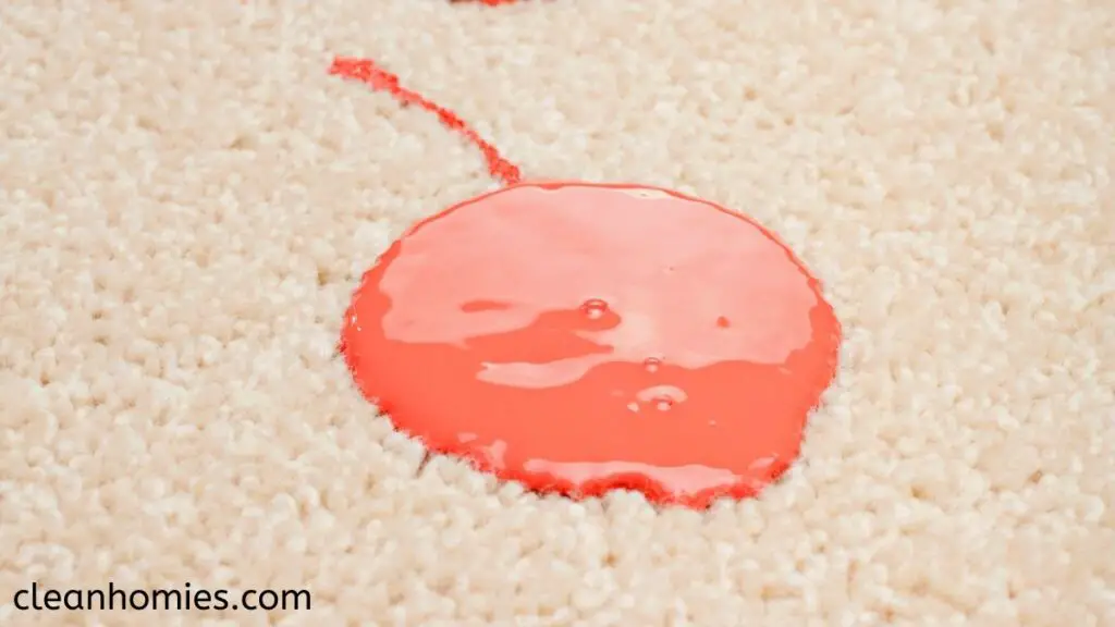 Paint Stains on carpet 
