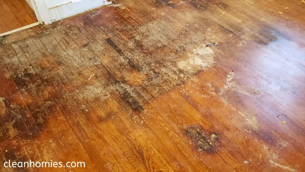 Floor's Protective Coating Is Damaged