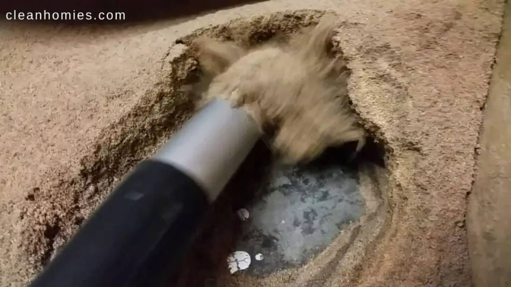 Can I Use a Normal Vacuum for Sawdust