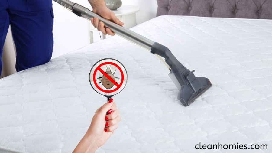 How to handle a bed bug vacuum cleaner after use