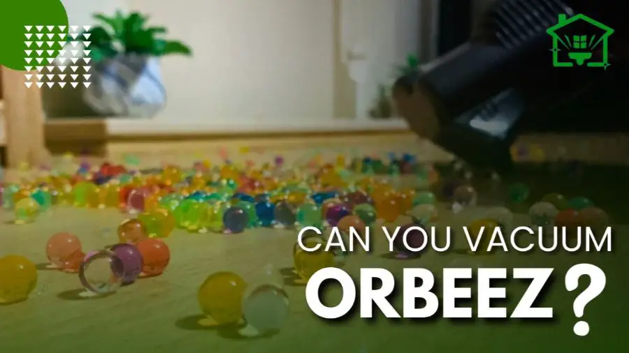 Can You Vacuum Orbeez